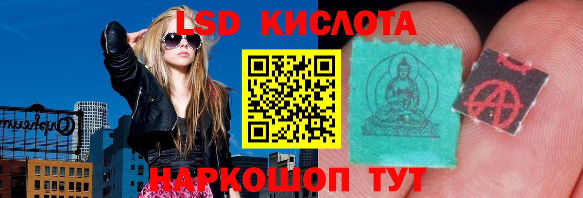 Галлюциногенные грибы Коркино